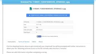 How to Complete the Survey in Cleanfiles?