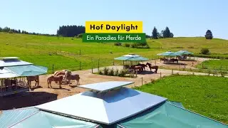 Hof Daylight – Ein Paradies für Pferde