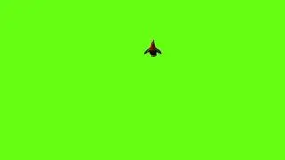 Green Screen Chicken Video Chicken Green Screen Effects