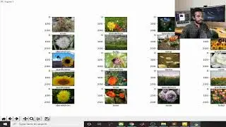 Training Large Vgg16 Model and Predicting the Results using Model for Flower Classification