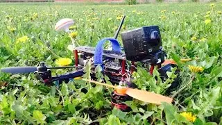ПОЛЁТЫ НАД ЗЕЛЁНОЙ ТРАВКОЙ - ZMR 250