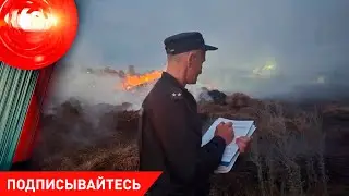 ПОГИБЛИ ДЕТИ – что произошло; заработать на смерти – задержаны супруги-предприниматели / 13.08.2024