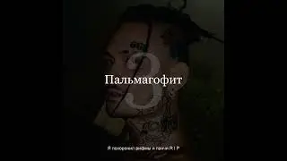 TEREDA - Пальмагофит 3 (трек на конкурс)