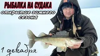 Рыбалка на судака 2: открытие зимнего сезона