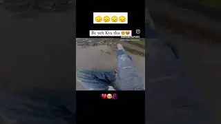 #roadrage #shorts #shortsfeed #viralshort #trendingshorts #newsong#trendinhsong#motovlog #feedshorts