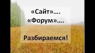 "Сайт".. "Форум.."??? Разбираемся!
