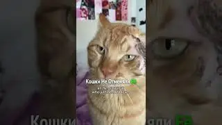 никогда не теряйте надежду!)