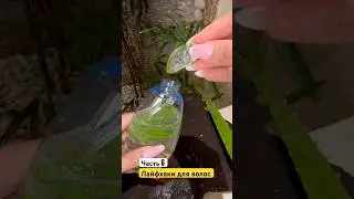 Лайфхак для блеска волос