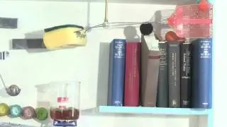 The Page Turner