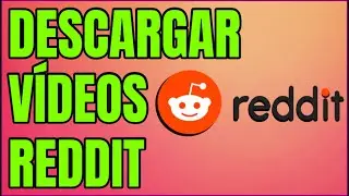 Descargar vídeos de Reddit paso a paso【Móvil y PC】