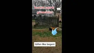 TİKTOK KOMİK VİDEO DERLEMELERİ 2