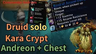 Turtle WoW - Druid solo Kara Crypt BIS AR ring and chest. (14min)