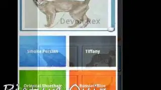[Android / iPhone] CatQuiz