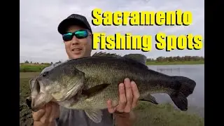 How to find fishing spots in Sacramento #BassFishing #SacramentoFishing #SacramentoPondFishing