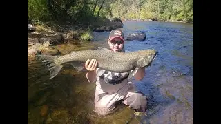 #salmonriver #pulaski #kingsalmon #newyorkstate  SEGUNDA PARTE