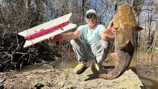 Fishing in the Swamp with a Board and some String. (Catfish Catch and Cook)