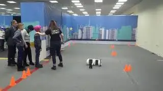 Гироскутер