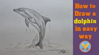 how to draw a dolphin