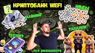 Как я нашел новый Биткоин | WEFI: Возможность, которую нельзя упустить
