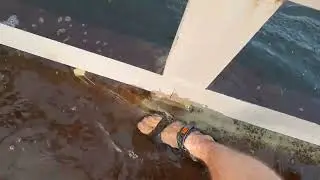 Уровень воды в Урале прибывает, город Новотроицк Оренбургская область.