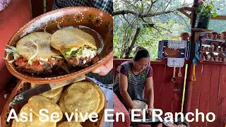Como Hacer Gorditas De Chicharrón Prensado Asi Se vive En El Rancho