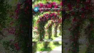 РЕШЕНИЕ ПРОБЛЕМ #zikr #qoran #hadees #islam #коран #хадис #зикр #ислам