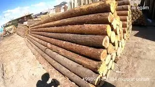 ТУРТКУЛ ТАХТА БОЗОРИ ОЙНА ЭШИК АКВА НАРХЛАРИ TORTKOL TAXTA BOZARI NARXLARI