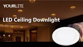 3-in-1 Installation Recessed Ceiling Downlight with Night Light – 5CCT | Stepless Dimming | Canless