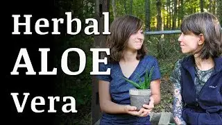 ALOE VERA Plant Medicinal Uses