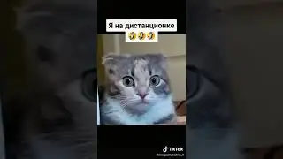 Я НА ДИСТАНЦИОНКЕ!!!😂😂😂😂😂😂😂😂😂😂😂😂