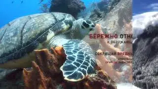 Земля - наш Дом