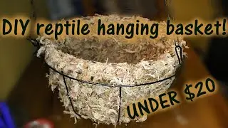DIY Hanging Basket For Reptiles On A Budget!