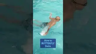 How to BUTTERFLY Swim | Olympics 2024 #swimming #olympics2024