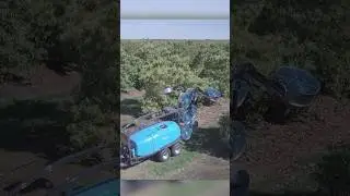 Interlink ecosmart sprayer  #sustainablefarming #ecofriendly #shorts #viral #trending #agriculture