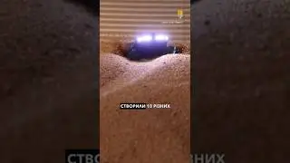 Роботи на елеваторах #робот #елеватор #США #зерно #grainweevil