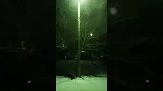 19 апреля 2024 г.