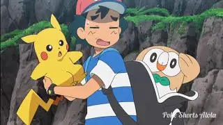 Rowlet..Good Morning..