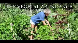 The Vegetal Abundance - Philip Forrer | hugel mounds, raised garden beds, hugelkultur