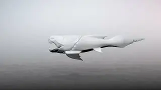 DinoFish Turntable