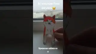 Бумажная собака из тт