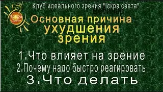 Причины ухудшения зрения