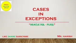 Oracle PLSQL Exception Cases