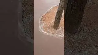 MAIS UMA SÉRIE DA PRAÇA TOMANDO FORMA