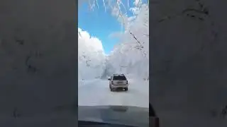Зимняя дорога в Бакуриани,Грузия
