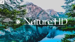 Nature HD | Slow-mo compilation I