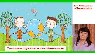 "Травяное царство и его обитатели"