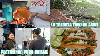 Como Preparo Un Brisket + Callo Un Arbol En Mi Casa | 06.14.23