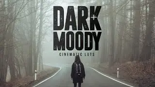 Dark and Moody Cinematic LUTs