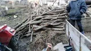 В ЛІС ПО ДРОВА