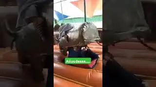 Toro Mecánico 🐃 ¿ ME CAI ???